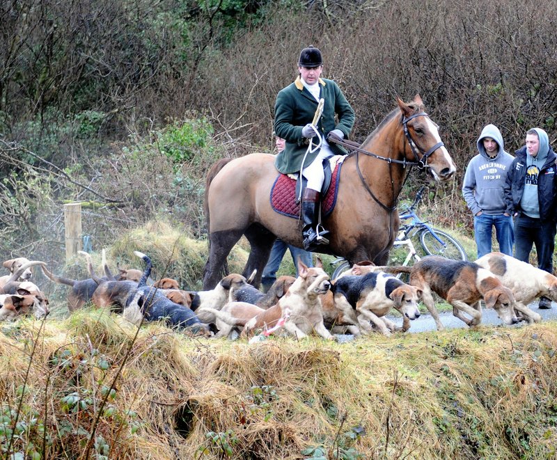 Hunting Trekking Holidays Dingle Peninsula Hunting Horseback Ireland