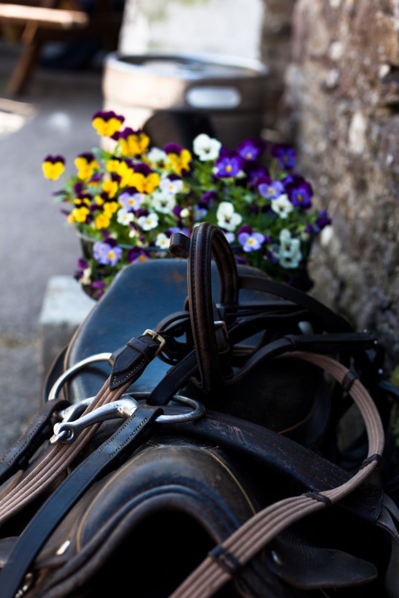 Burnham Horse Riding Centre Dingle Summer Pony camps Dingle Horse