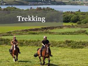 trekking
