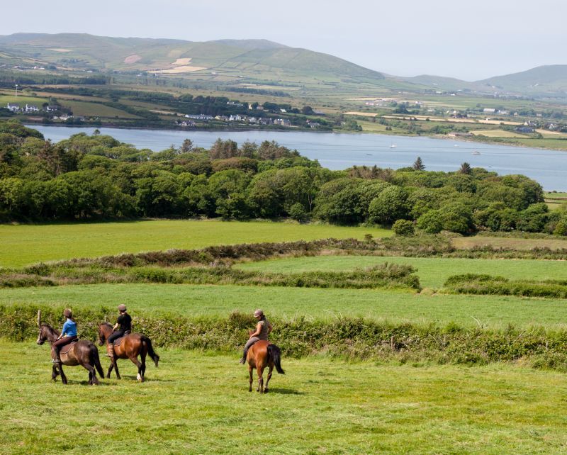 Áine Trek 1 Hour